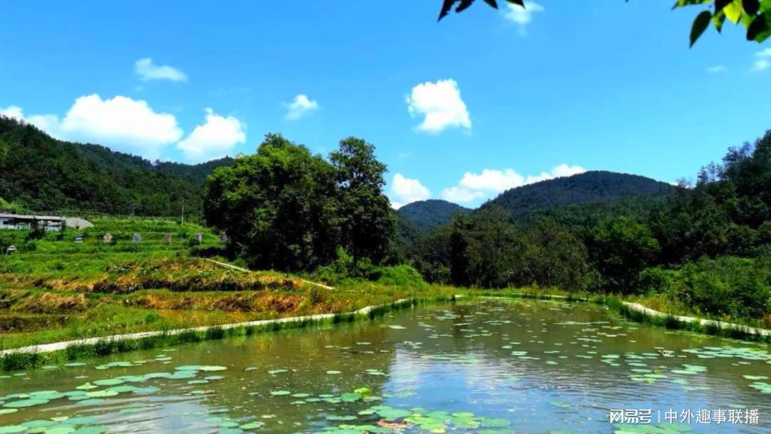 dy抖音代网站业务平台便宜：独家副业致富项目与技巧分享_dy自助下单商城