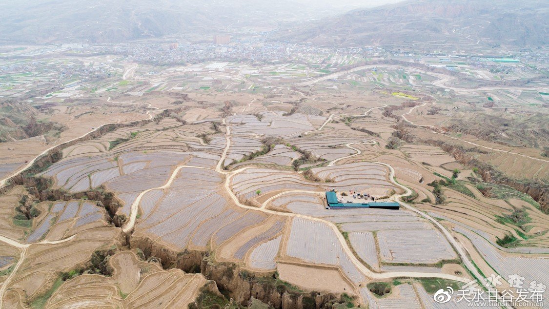 近日精准推广专属化打造您的营销矩阵,操作简单,效果显著,0.1块钱一万个赞：低价获赞提升人气轻松实现