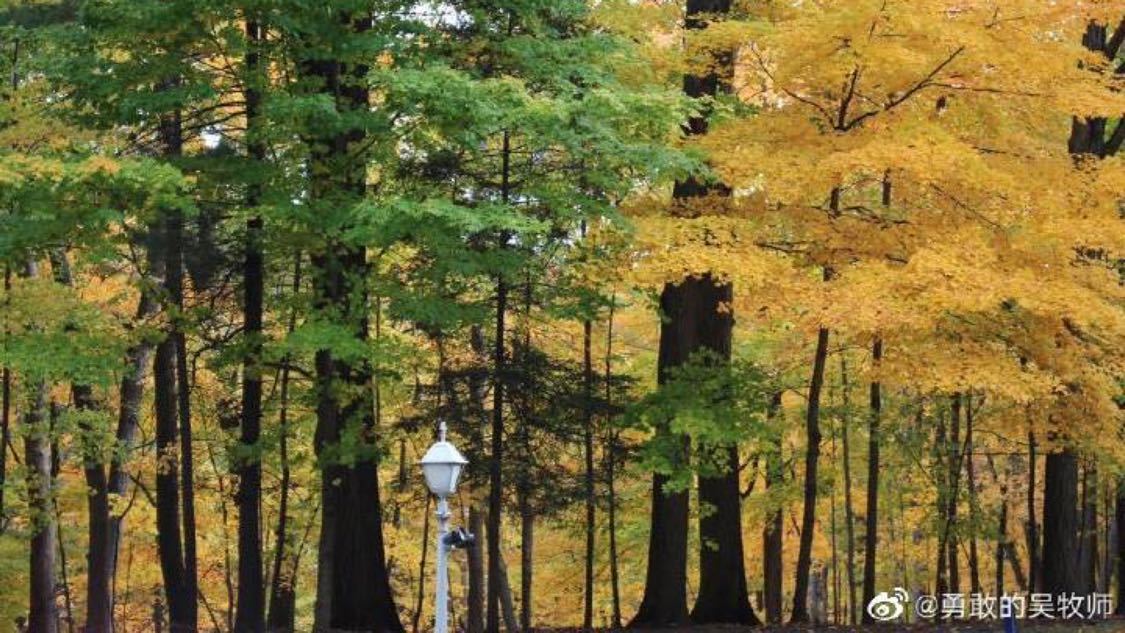 抖音在线双击秒自助下单：抖音作品人气快速提升技巧